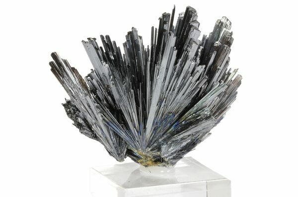 A spray of needle-like stibnite crystals from the Herja Mine in Romania.